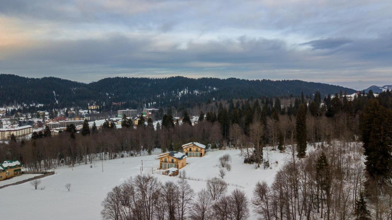 Villa By Sunexpress バクリアニ エクステリア 写真
